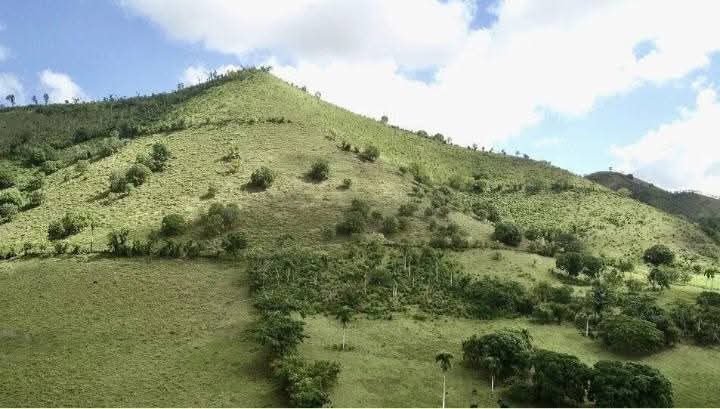 finca la piña